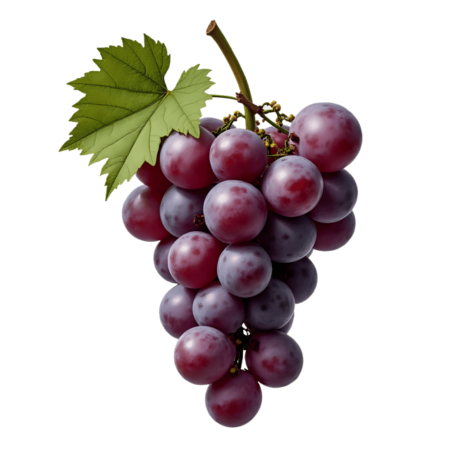 Free transparent PNG: Grape PNG Clipart  Ideal for Food Projects, Crafts  Decor