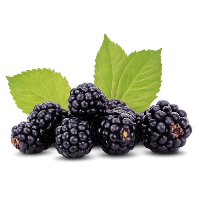 Free transparent PNG: Boysenberry PNG with Transparent Background for Design and Craft Projects