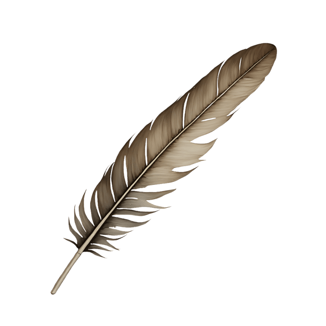 Free transparent PNG: Curved Flight Feather  Vector Art, free downloadable png