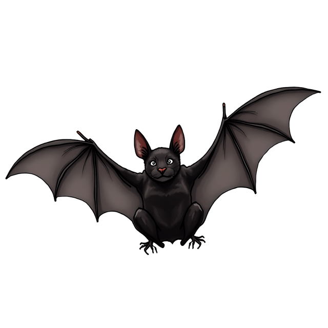 Free transparent PNG: Bat PNG Clipart  Perfect for Halloween, Education  Art Projects
