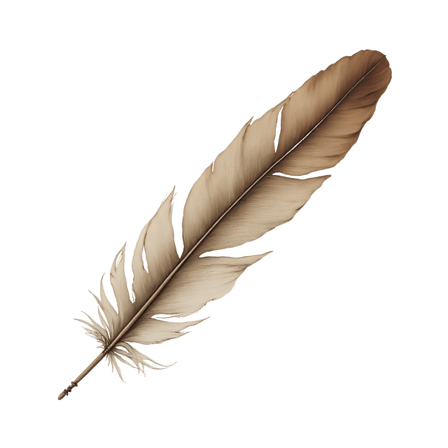 Free transparent PNG: Long Quill Feather  High-Resolution PNG Download