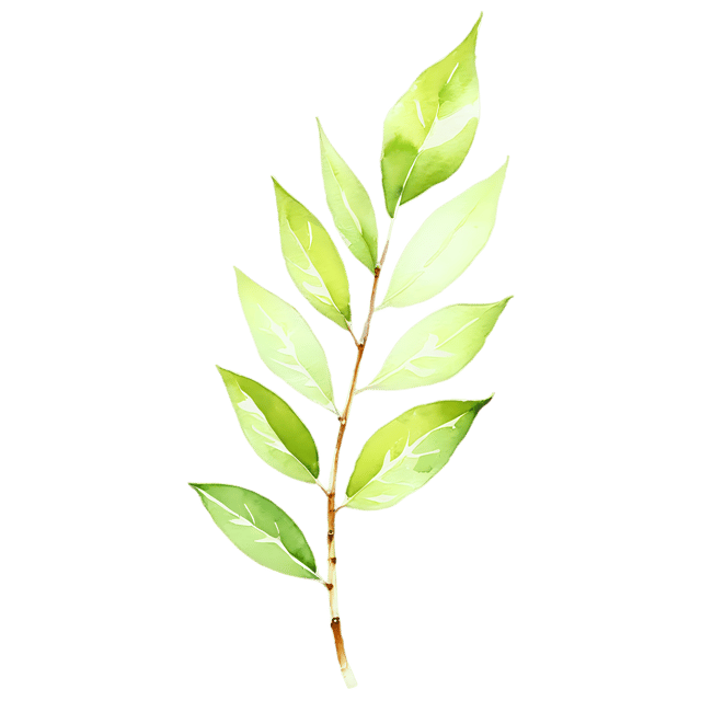 Free transparent PNG: Watercolor Birch Leaf Transparent PNG – Gentle Illustration for Nursery Decor & Crafts