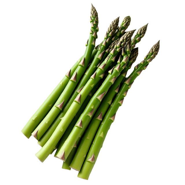 Free transparent PNG: Asparagus PNG Clipart  Perfect for Spring Recipes  Health Content