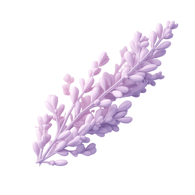 Free transparent PNG: Lavender Mist with Blush Pink Swirls on Transparent Background PNG Design