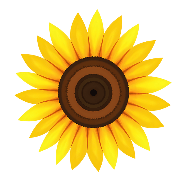 Free transparent PNG: Sunflower with Yellow Petals Transparent PNG Image for Vibrant Floral Design
