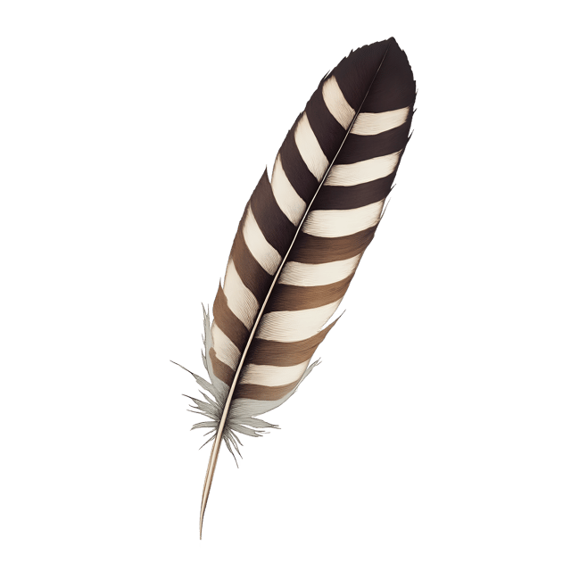 Free transparent PNG: Striped Bird Feather with Light Fade  Free PNG Download