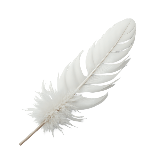 Free transparent PNG: Soft White Feather Under Soft Gauze  Elegant Clipart Design, Free PNG Download