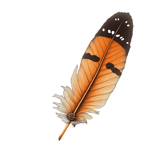 Free transparent PNG: Speckled Wing Feather on Gravel Path  Nature Clipart, free transparent png download