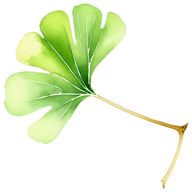 Free transparent PNG: Transparent Watercolor Ginkgo Leaf PNG – Gentle Illustration for Nature Art and Design