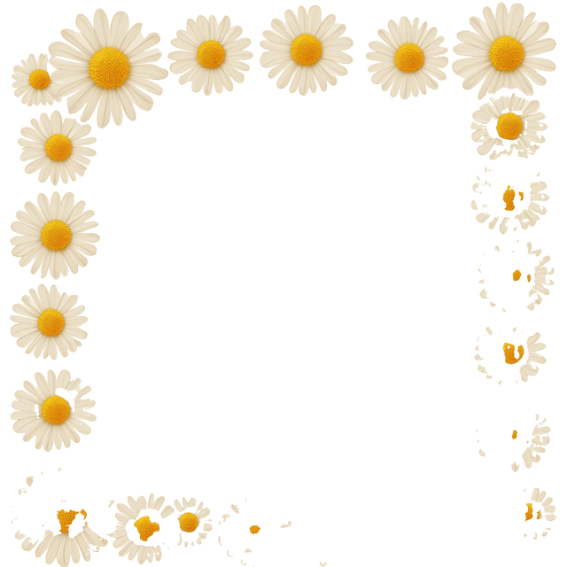 Free transparent PNG: Sunny Daisy Border Illustration with White Petals and Golden Centers