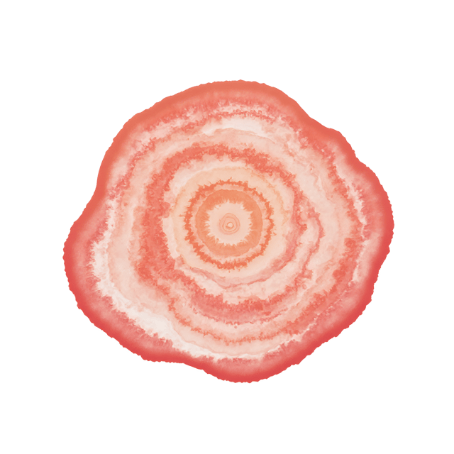 Free transparent PNG: Ripple Shape PNG Clipart  Perfect for Water Effects  Design Projects