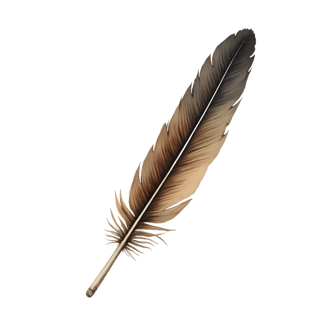 Free transparent PNG: Long Quill Feather on Velvet Cover  Elegant Clipart, free downloadable png