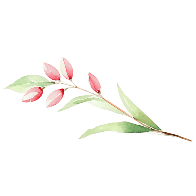 Free transparent PNG: Watercolor Garden Bloom Ornament PNG – Transparent Background Illustration