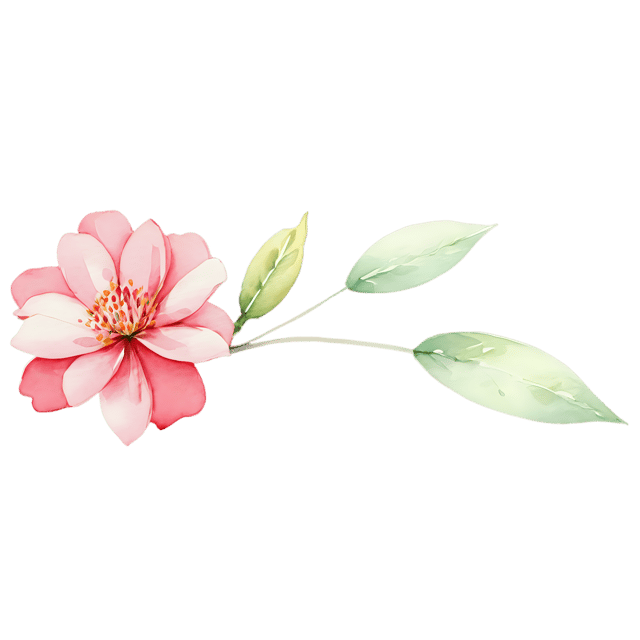 Free transparent PNG: Watercolor Garden Bloom Ornament – Transparent PNG Illustration
