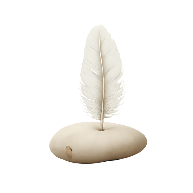 Free transparent PNG: Soft White Feather on Pale Stone  Vector Clipart, Free PNG Download