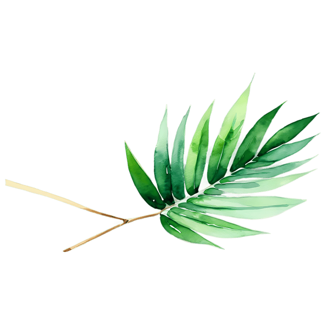 Free transparent PNG: Palm Leaf Watercolor Illustration - Transparent PNG for Tropical Designs