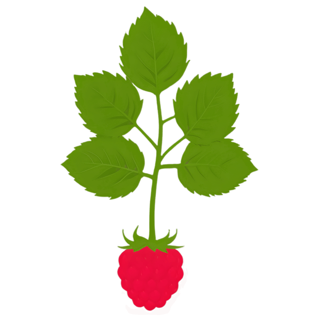 Free transparent PNG: Transparent Raspberry PNG for Digital Design and Visual Projects