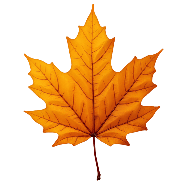 Free transparent PNG: Crispy Dry Leaf PNG Illustration in Warm Orange Tones with Detailed Veining
