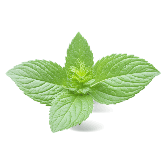 Free transparent PNG: Mint Color Splash PNG with Transparent Background for Vibrant Visuals