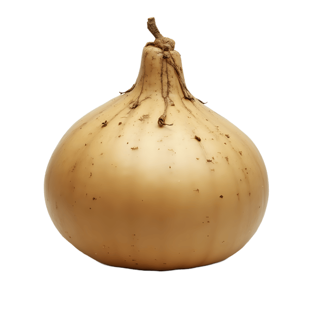 Free transparent PNG: Rutabaga PNG Clipart  Perfect for Healthy Eating and Kitchen Design