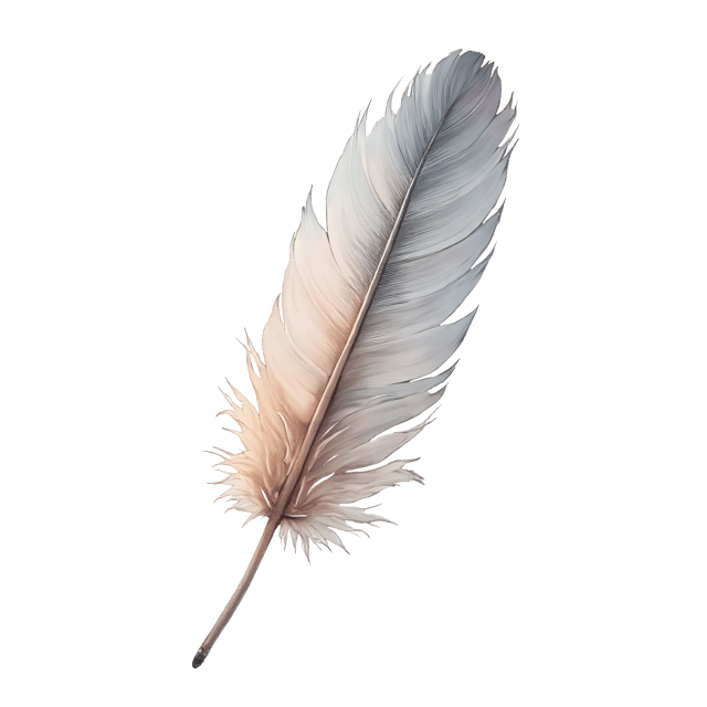 Free transparent PNG: Fluffy Down Feather  Elegant Clipart, free download in png format