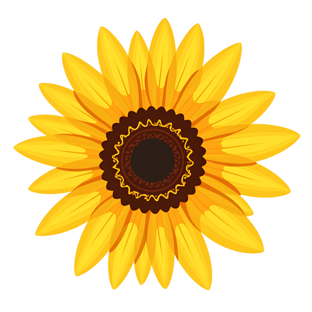 Free transparent PNG: Golden Sunflower Illustration with Bright Yellow Petals and Brown Centers for Clipart and Decorative Uses