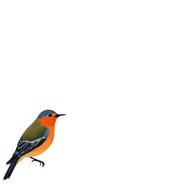 Free transparent PNG: Floral and Bird Border  Nature Clipart, free transparent png download