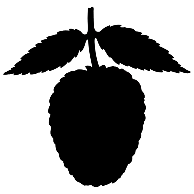 Free transparent PNG: Blackberry Transparent PNG Image for Clipart and Craft Projects