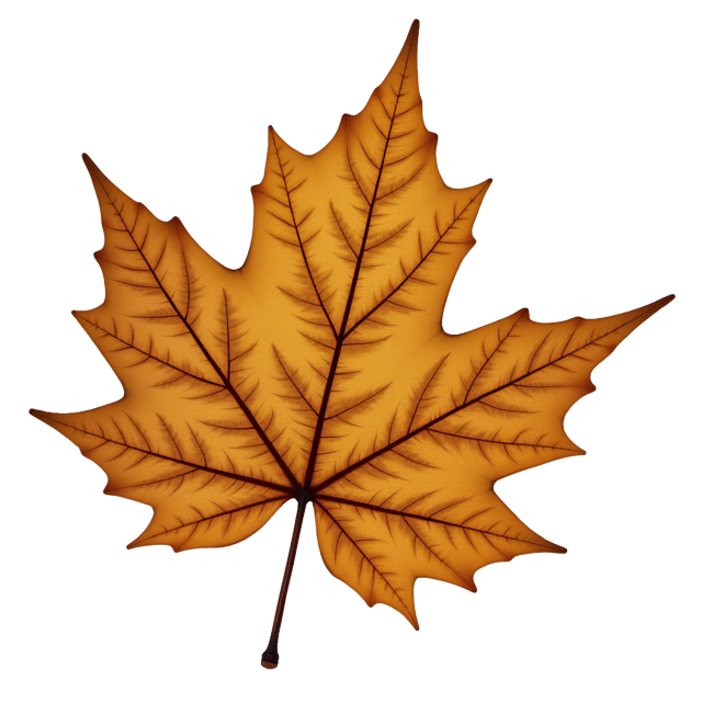 Free transparent PNG: Detailed Dry Leaf with Intricate Veining and Natural Color on White Background