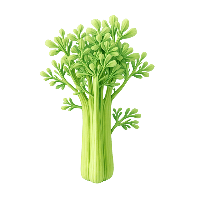 Free transparent PNG: Celery PNG Clipart  Perfect for Kitchen Designs, Education  Crafts