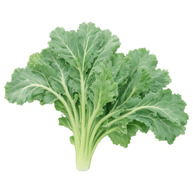 Free transparent PNG: Kale Leaf Transparent Background PNG Image for Fresh Produce and Design