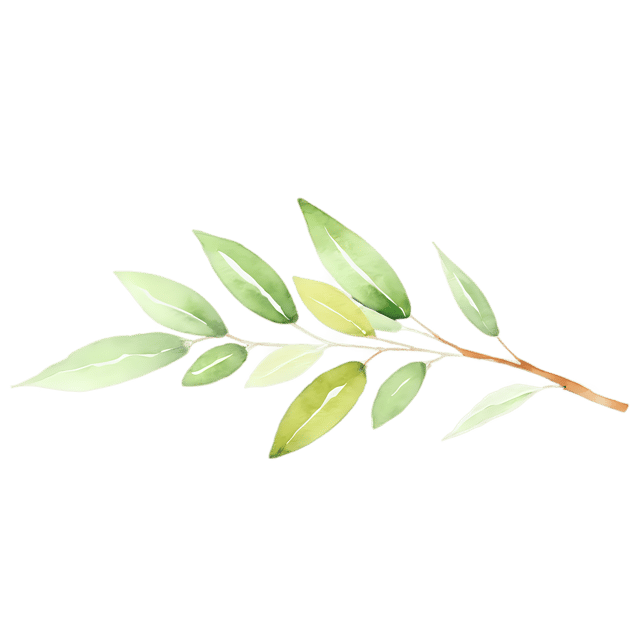 Free transparent PNG: Herbal Sprig Watercolor PNG – Transparent Design Element for Various Applications