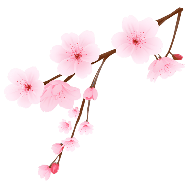 Free transparent PNG: Peach Blossom PNG with Transparent Background for Floral Design