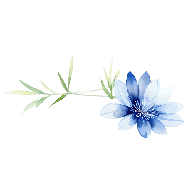 Free transparent PNG: Nigella Flower Watercolor Illustration – Transparent PNG for Artworks & Designs