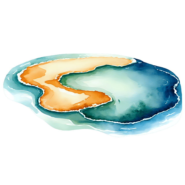 Free transparent PNG: Tide Pool Watercolor Illustration - Transparent PNG for Nature Lovers