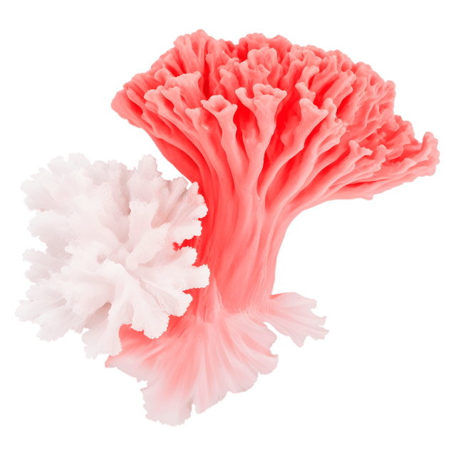 Free transparent PNG: Coral Color Splash PNG with Transparent Background for Modern Design
