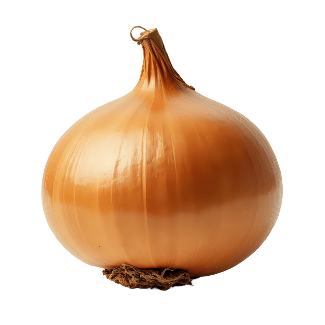Free transparent PNG: Onion PNG Clipart  Ideal for Kitchen Tools  Healthy Food Icons