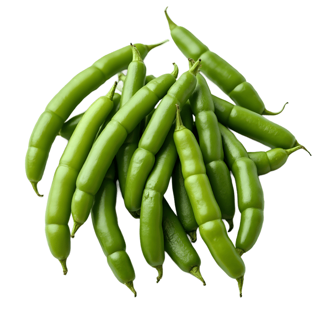 Free transparent PNG: Green Beans PNG Clipart  Perfect for Garden Projects  Healthy Eating