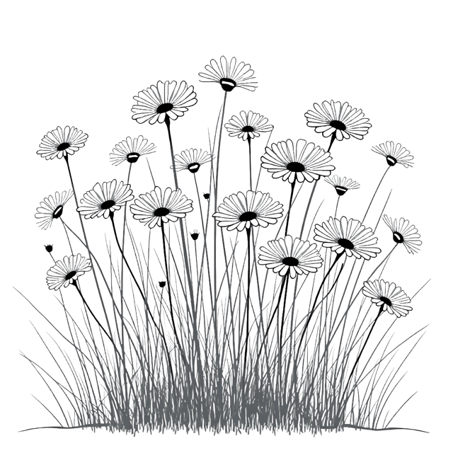 Free transparent PNG: Daisy Cluster  Wild Garden Clipart, free downloadable png