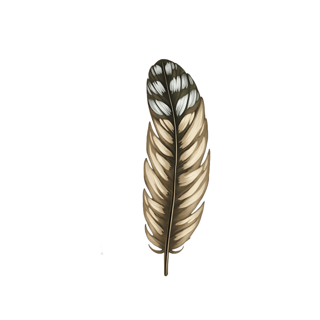 Free transparent PNG: Owl Feather Detail Under Hanging Moss  Nature Clipart, free transparent png download