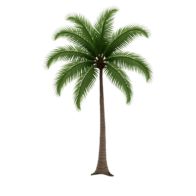 Free transparent PNG: Tall Palm Tree with Green Leaves Rustling Over White Sandy Beach - Transparent Background PNG