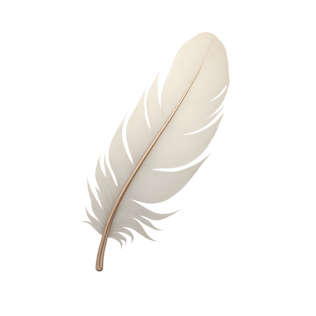 Free transparent PNG: Soft White Feather  Elegant Clipart, free transparent png download