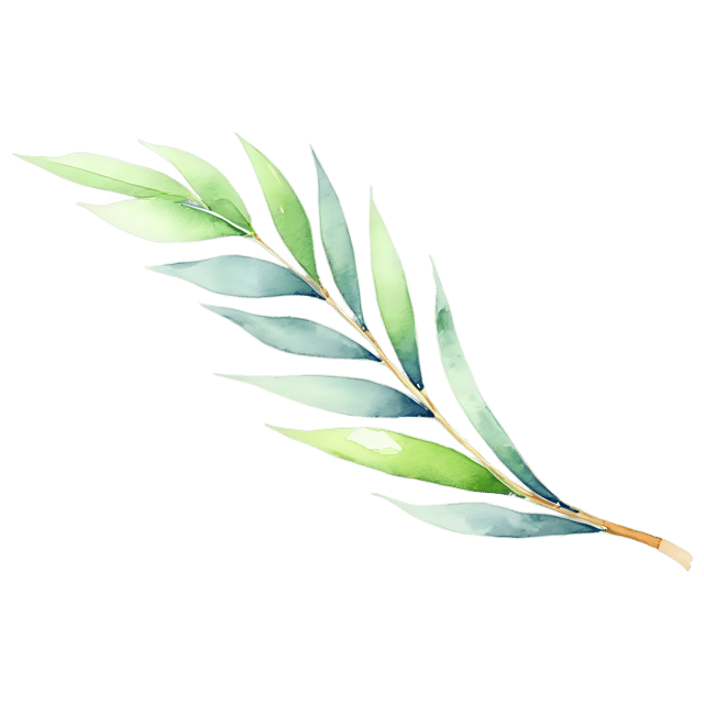 Free transparent PNG: Transparent Watercolor Seaweed Illustration - PNG File for Marine or Nature-Themed Designs