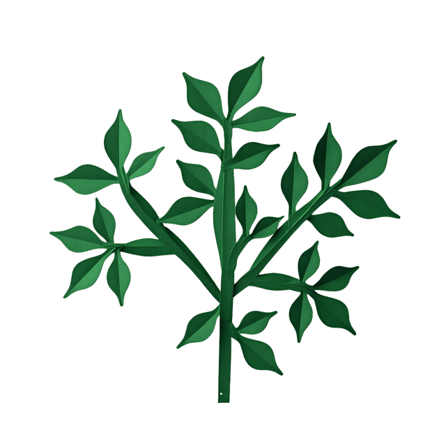 Free transparent PNG: Mistletoe Vector Illustration for Festive Decorations and Holiday Art