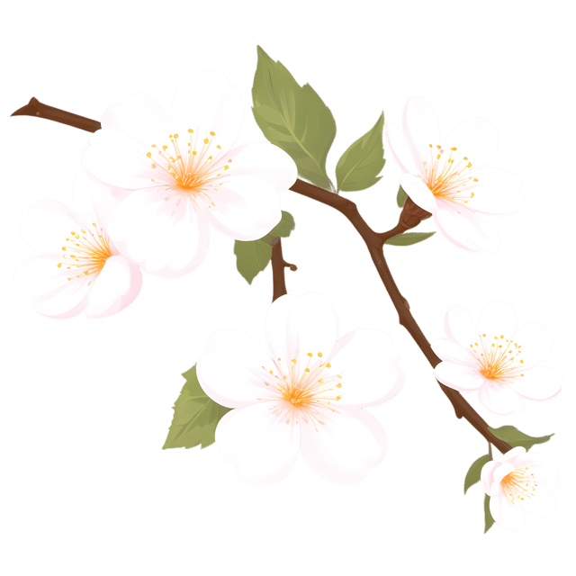 Free transparent PNG: Plum Branches with Delicate Flowers Transparent PNG Background