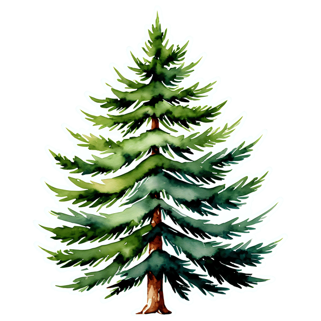 Free transparent PNG: Cedar Tree Watercolor Illustration – Transparent PNG for Nature Lovers