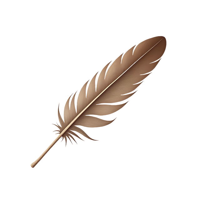 Free transparent PNG: Delicate Feather Tip Beneath Thin Gauze  Elegant Clipart, free transparent png download