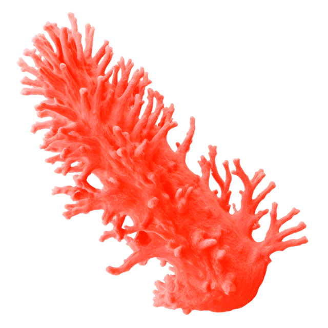 Free transparent PNG: Coral Color Splash PNG with Transparent Background for Creative Use