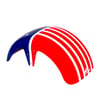 Paralama Dianteiro Para Scooter Eletrica Wehawk X7/X8/X16 2000w Bandeira Americana