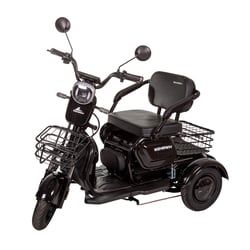 Bicicleta Scooter Eletrica Wx-04 Wehawk 450w Bat 48v 12ah Dourada